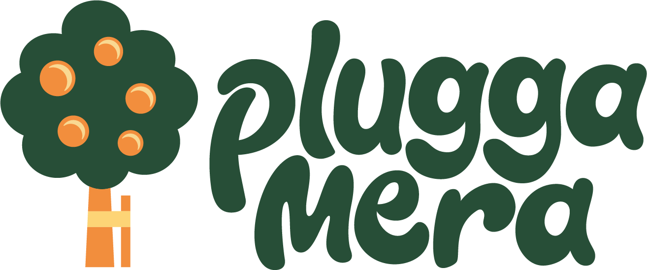 Pluggamera logotype